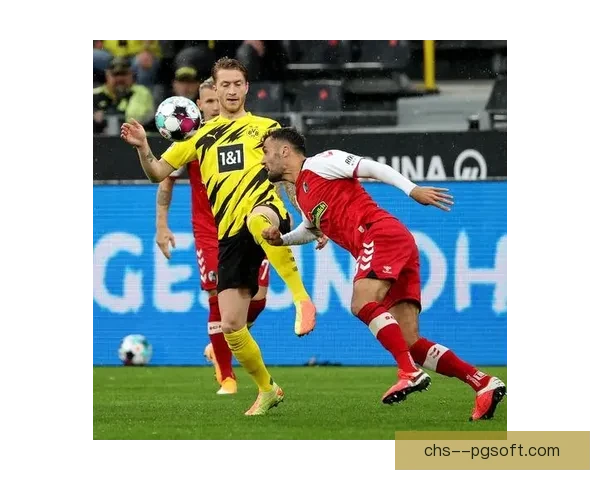 弗赖堡主场草坪获德甲职业球员协会高度赞誉